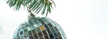 FX №21418 Cover. Mirror  ball  at  tree..