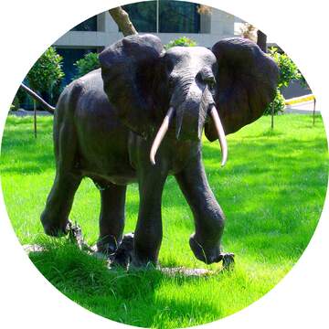 FX №21590 Elephant Image for profile picture