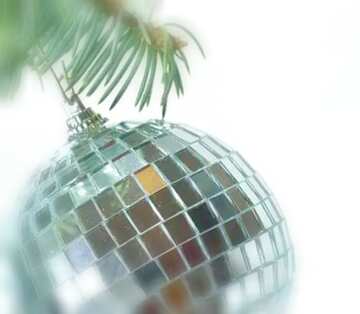 FX №21417 Image for profile picture Mirror  ball  at  tree..