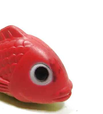 FX №21632 Image for profile picture Red  fish.