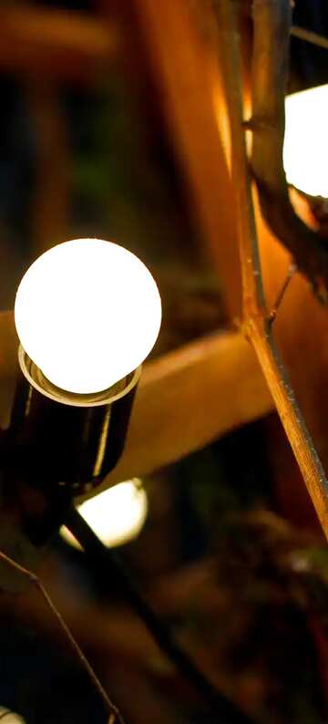 FX №21059 Image for profile picture Steampunk style decor old incandescent bulbs.