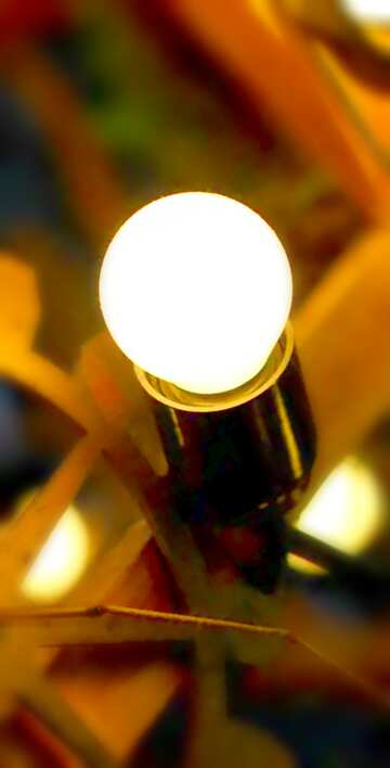 FX №21061 Image for profile picture Steampunk style decor old incandescent bulbs.
