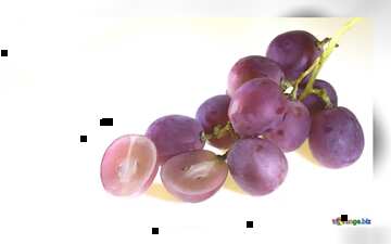 FX №21165 Pink grape