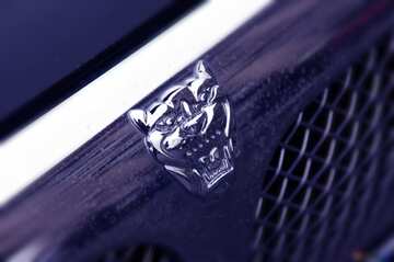FX №21621 Purple color. Jaguar emblem on the hood.