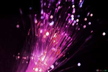 FX №21209 Purple color. Optical fiber.
