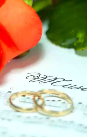 FX №21478 wedding music ring rose