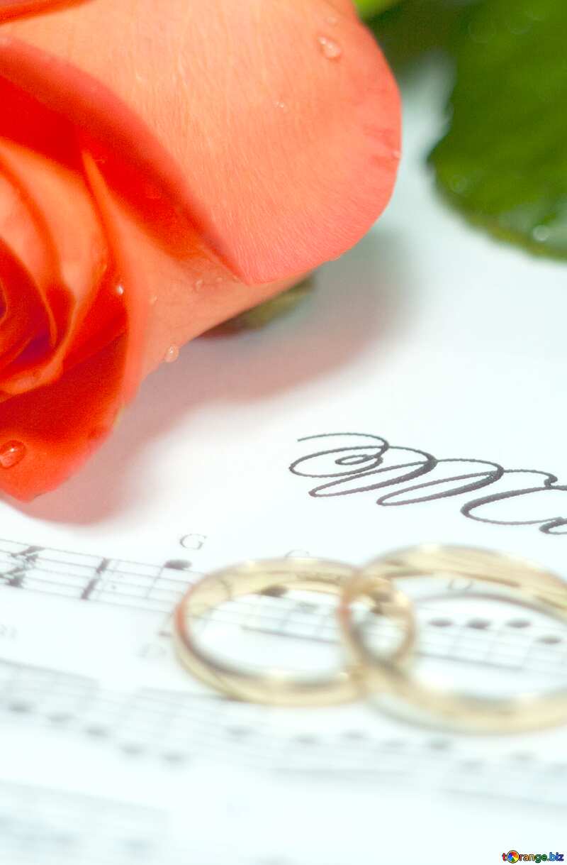 card rose rings music note №7230