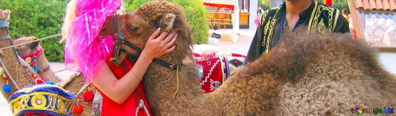 Cover. Girl  hugs   camel.. №7843