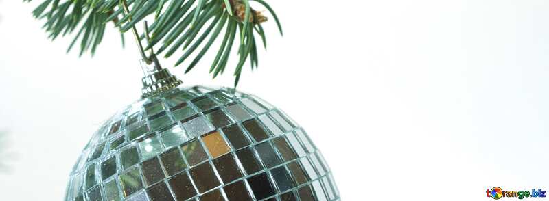 Cover. Mirror  ball  at  tree.. №6784