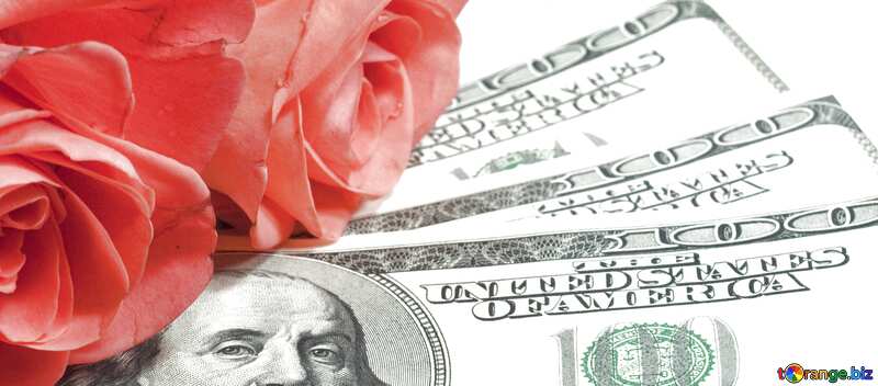 Cover. Roses  and  dollars.. №7269