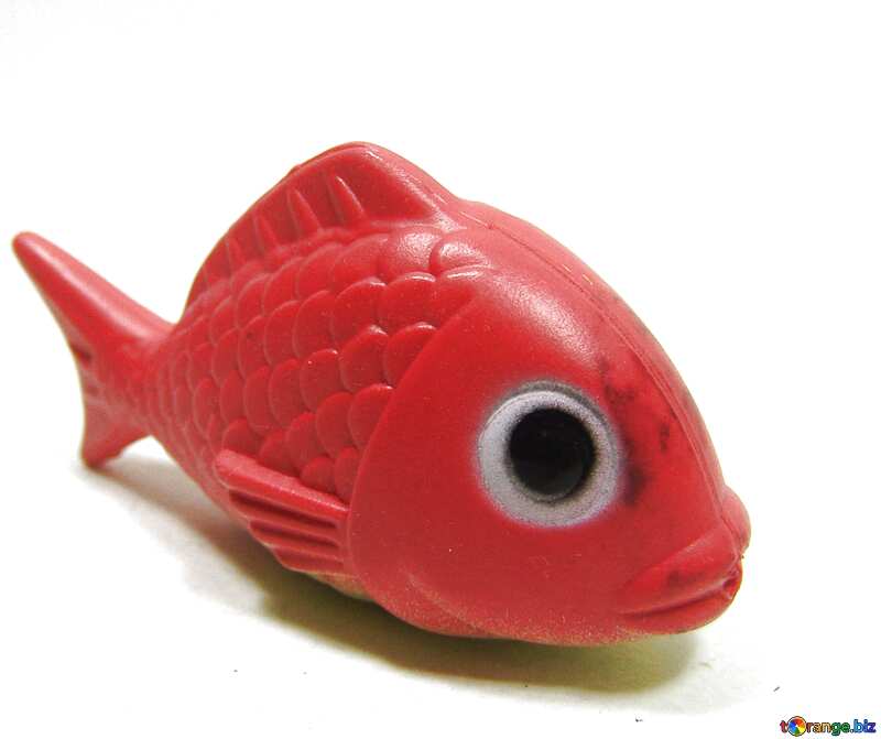 Image for profile picture Red  fish. №9235