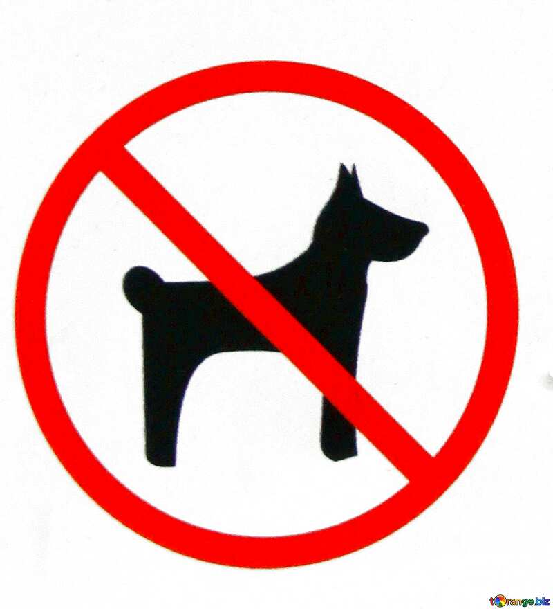 no dog in park №5181