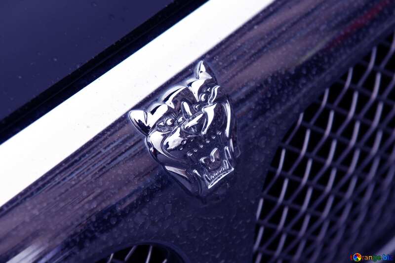 Purple color. Jaguar emblem on the hood. №895