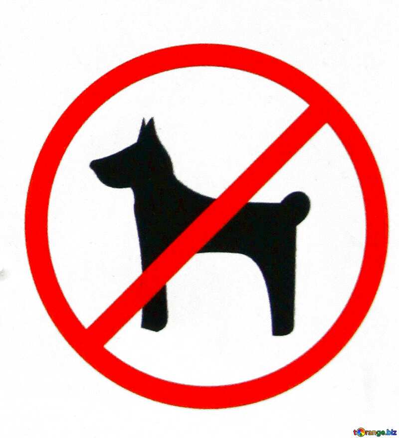 stop walking dog in park №5181