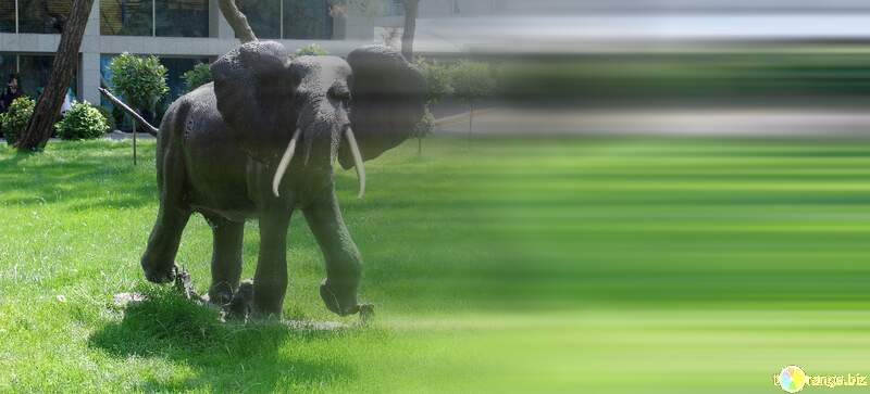 Template background for the label. Elephant . Garden  sculpture.. №8449