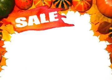 FX №210368 Autumn Sale blank card template with pumpkins template