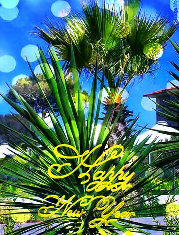 FX №210490 Palms happy new year 3d card