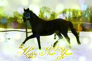 FX №210565 Horse walking in snow Happy New Year