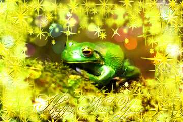 FX №210600 The frog on the tree Happy New Year Frame