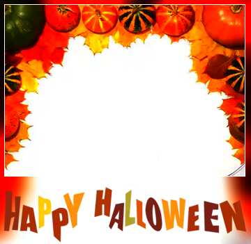 FX №210359 Autumn blank card template with pumpkins halloween