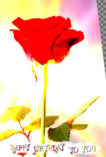 FX №210928 rose flower  happy birthday card background