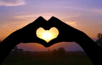 FX №210242 Vivid sunset sun in Hands Heart love