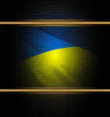 FX №210768 Flag Ukraine carbon gold frame