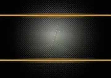 FX №210883 Airframe carbon gold frame template