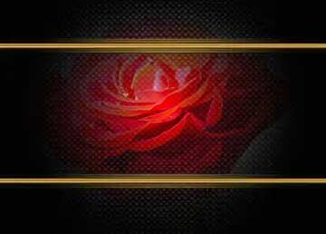FX №210898 Drops on the rose flower  carbon gold frame