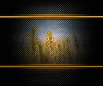 FX №210980 Field of wheat carbon gold frame