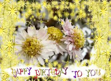 FX №210545 Flowers under snow freeze happy birthday