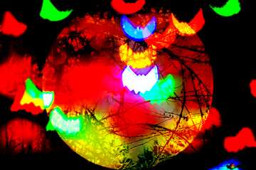 FX №210008 Bat bokeh lights  spooky forest halloween Background