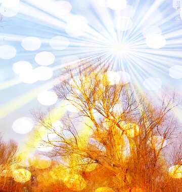 FX №210570 Landscape autumn nature sunlight rays sky