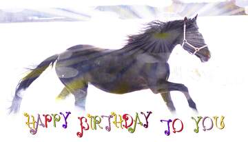 FX №210346 Horse and snow happy birthday card