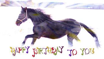 FX №210349 Horse and snow happy birthday card