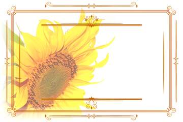 FX №210821 Flower Frame Lines Retro