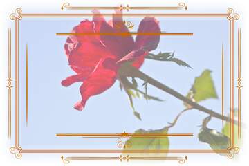 FX №210838 Rose flower Retro Lines Frame Sky Background