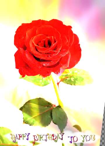 FX №210936 Red beautiful rose flower  happy birthday card