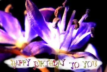 FX №210574 Blue flower happy birthday card