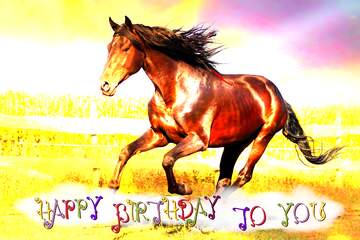 FX №210572 Horse birthday card happy birthday
