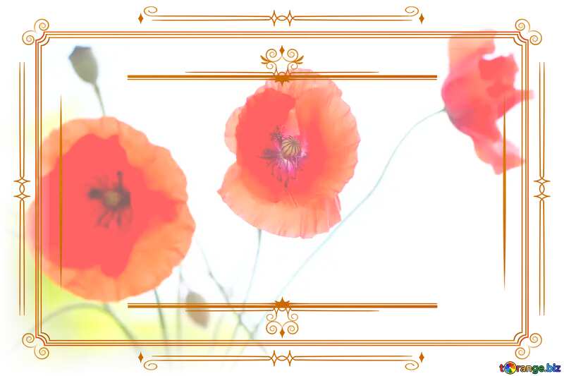 Beautiful Poppy Vintage Frame Ancient №37060
