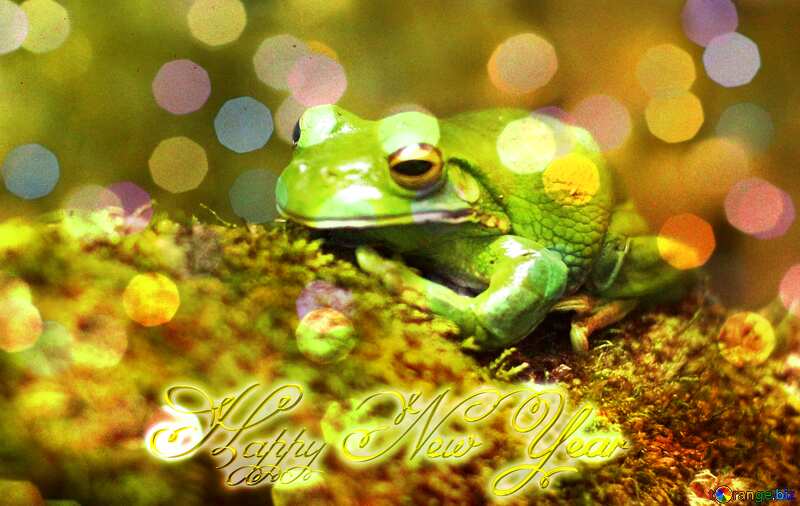 The frog Happy New Year bokeh №45557