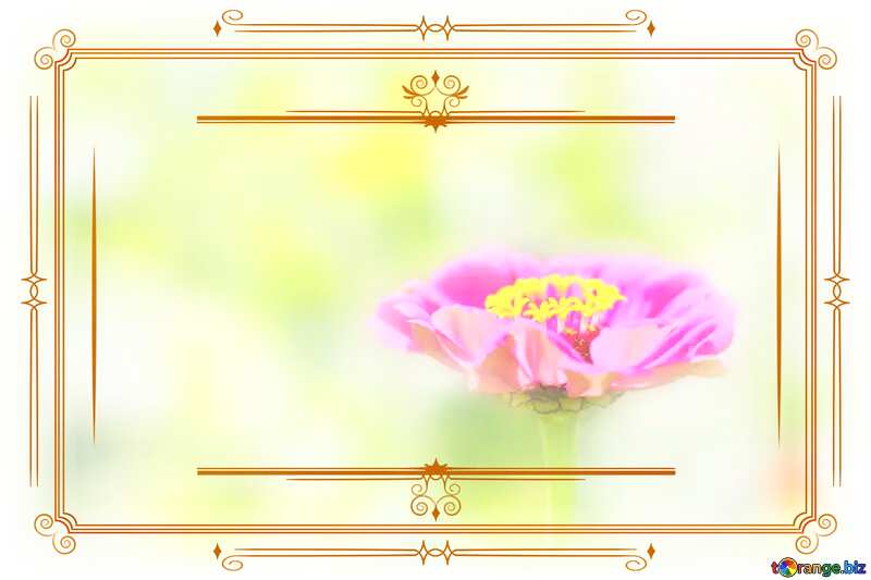 Flower Vintage Clipart Frame №33444