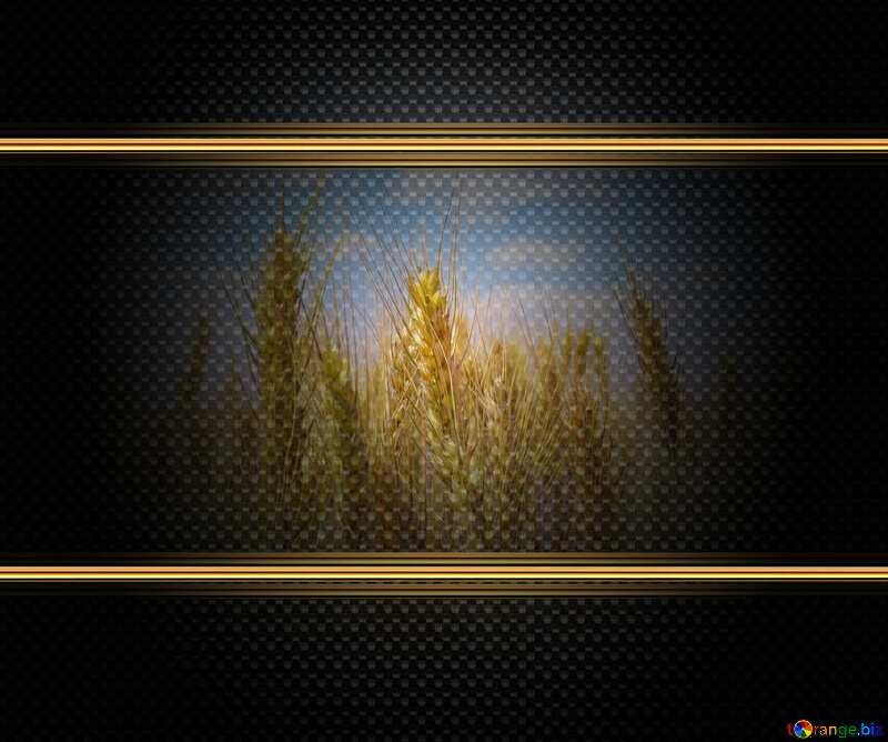 Field of wheat carbon gold frame №27271