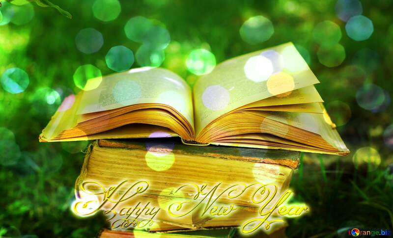 Book Happy New Year gold №34881