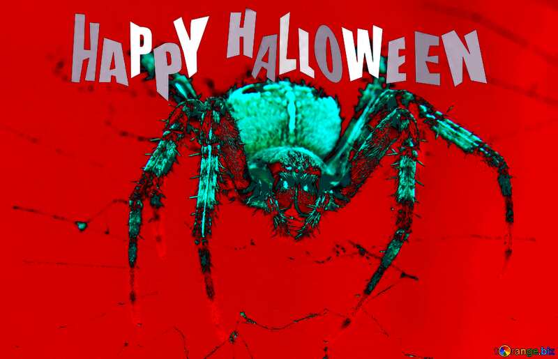 Spider happy halloween art background №50657