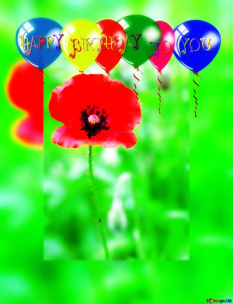 Poppy flower happy birthday card background №34257