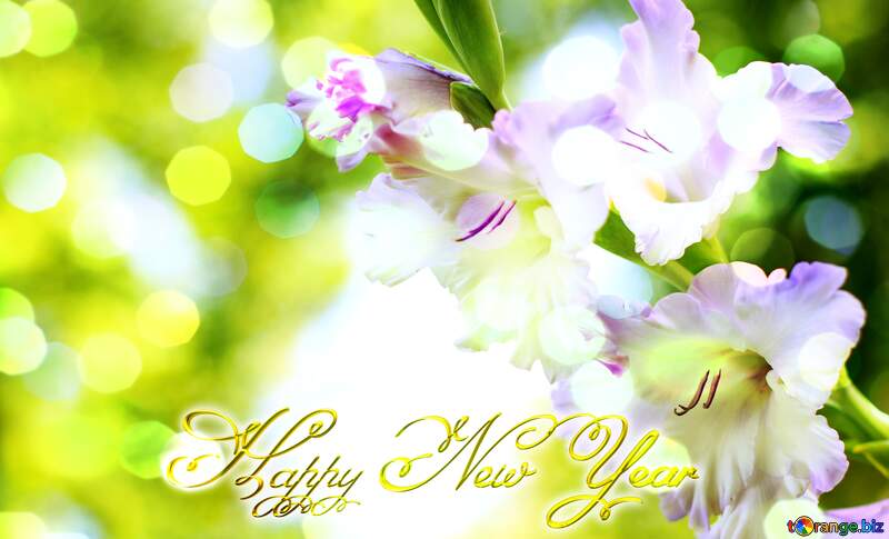 gladiolus flower Inscription text Happy New Year №33786