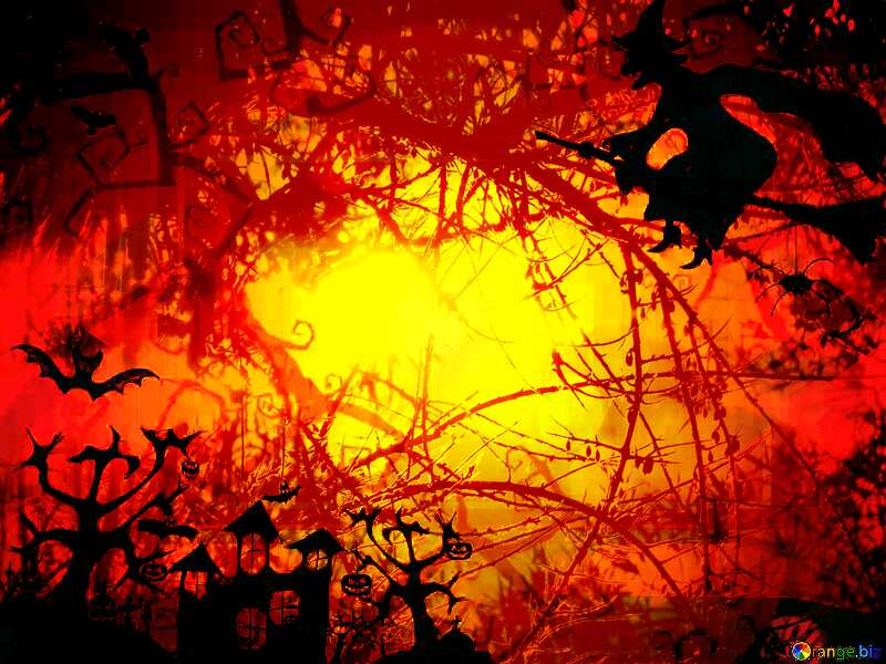 Halloween forest background №40580