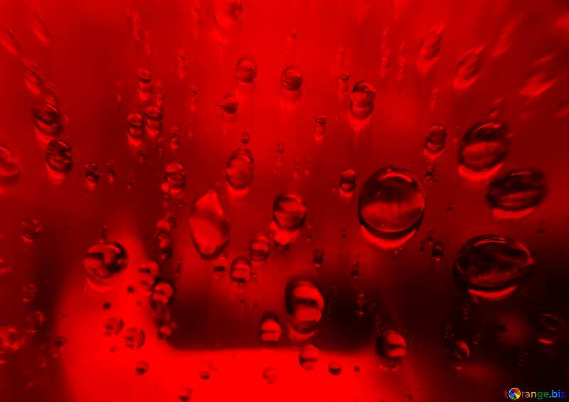 Raindrops red macro background №47981